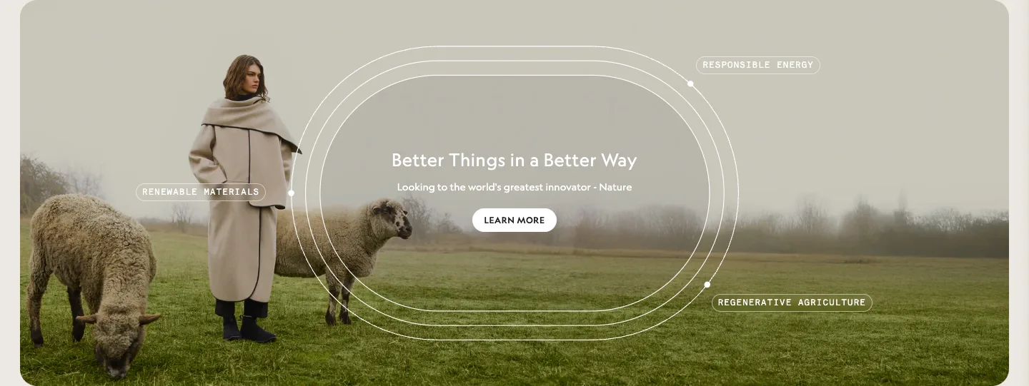 Content block from Allbirds