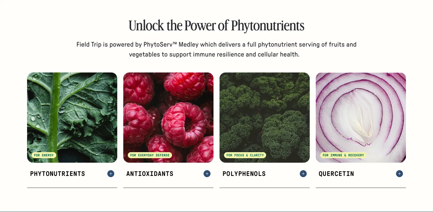 Ingredients from Meche